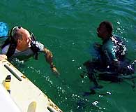 Scuba diving Tobago 03